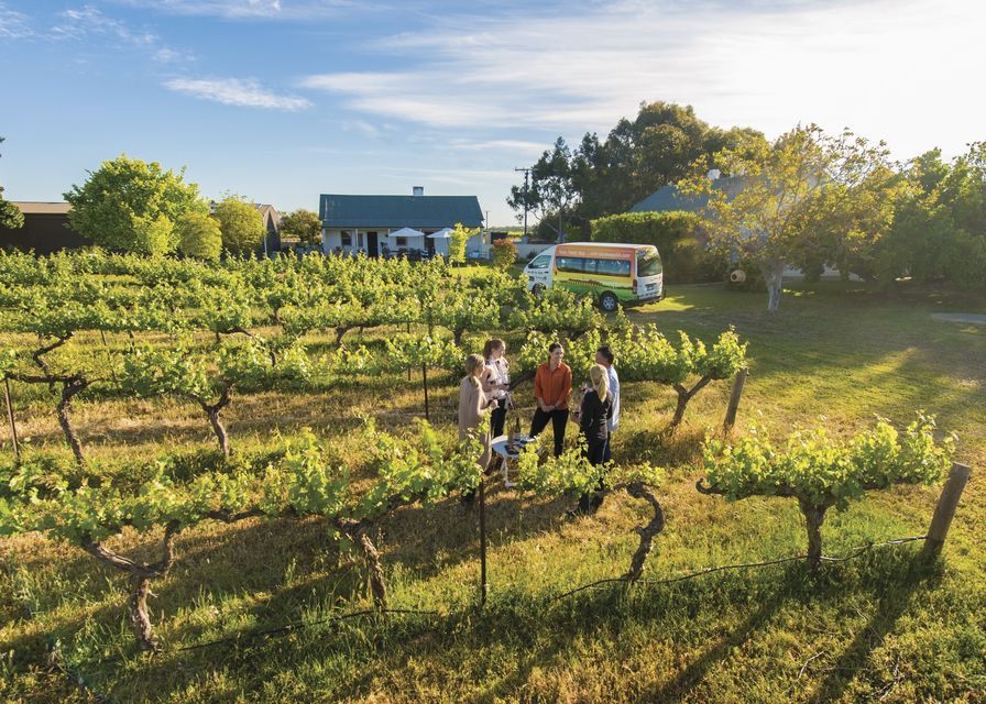 Adelaide: Barossa Valley Tour With Platter-Style Lunch