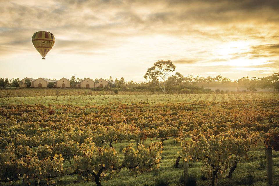 Adelaide: Barossa Valley Tour With Platter-Style Lunch