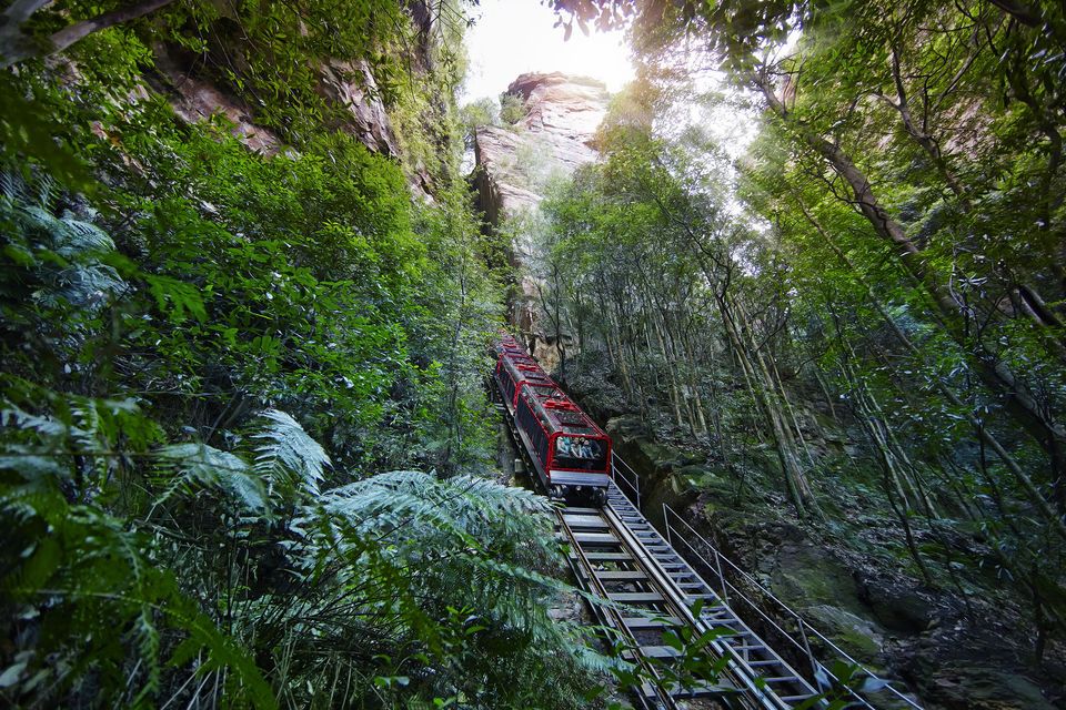  Blue Mountains Hop on Hop off & Scenic World Rides Pass