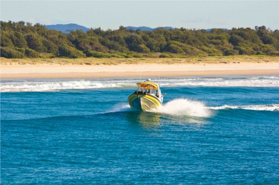 Port Macquarie: Speedboat Ocean Cruise