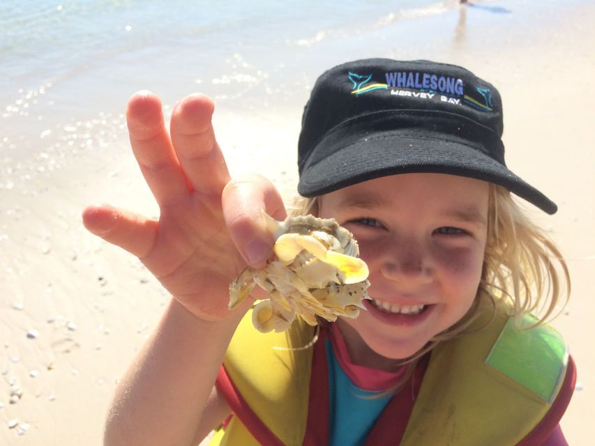 Fraser Island: Beach and Aussie BBQ Cruise from Hervey Bay