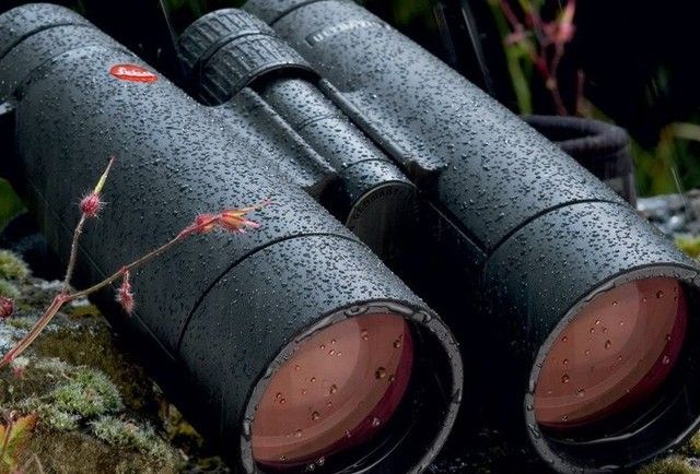 Leica 8×42 Ultravid HD Plus Binocular
