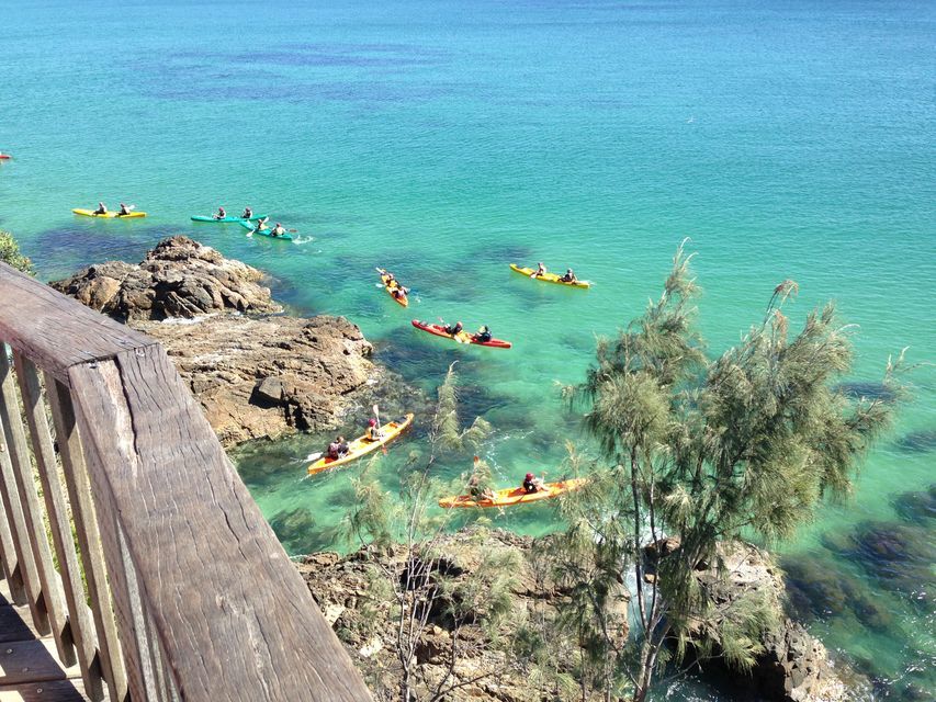 Byron Bay: Kayak with Dolphins Tour