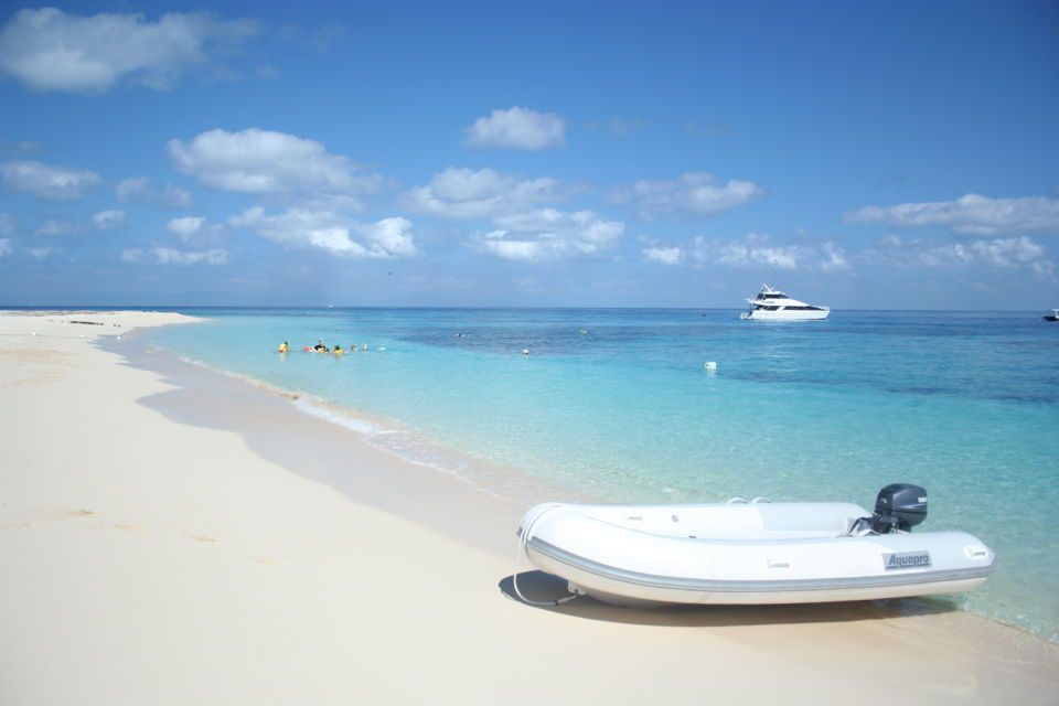 Premium Reef and Coral Cay Cruise at High Speed from Cairns