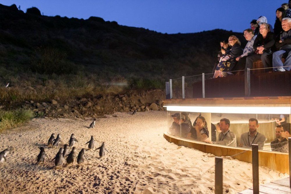 Phillip Island: 4 Parks Pass Including Penguin Parade