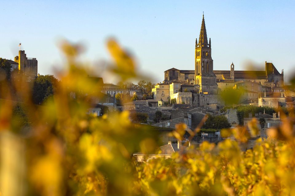 From Bordeaux: St. Emilion Village Half-Day Wine Tour 