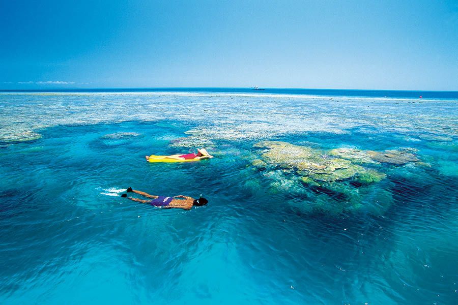 Quicksilver Outer Barrier Reef Full-Day Cruise