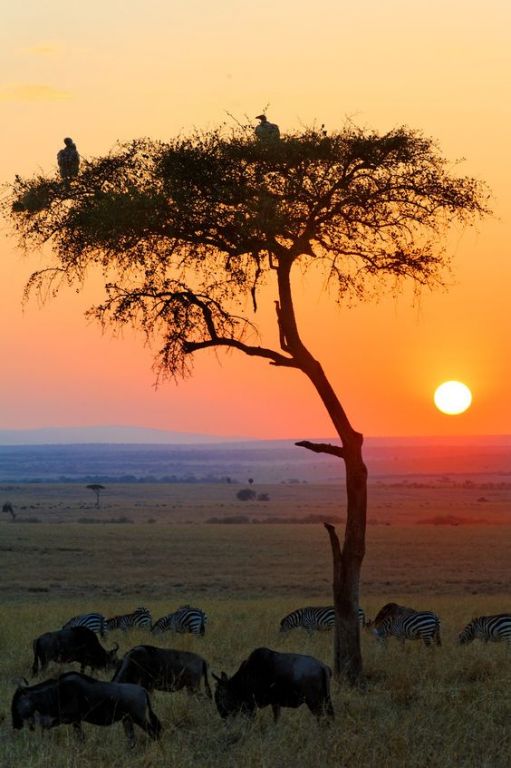 6 African National Parks To Visit Before You Die