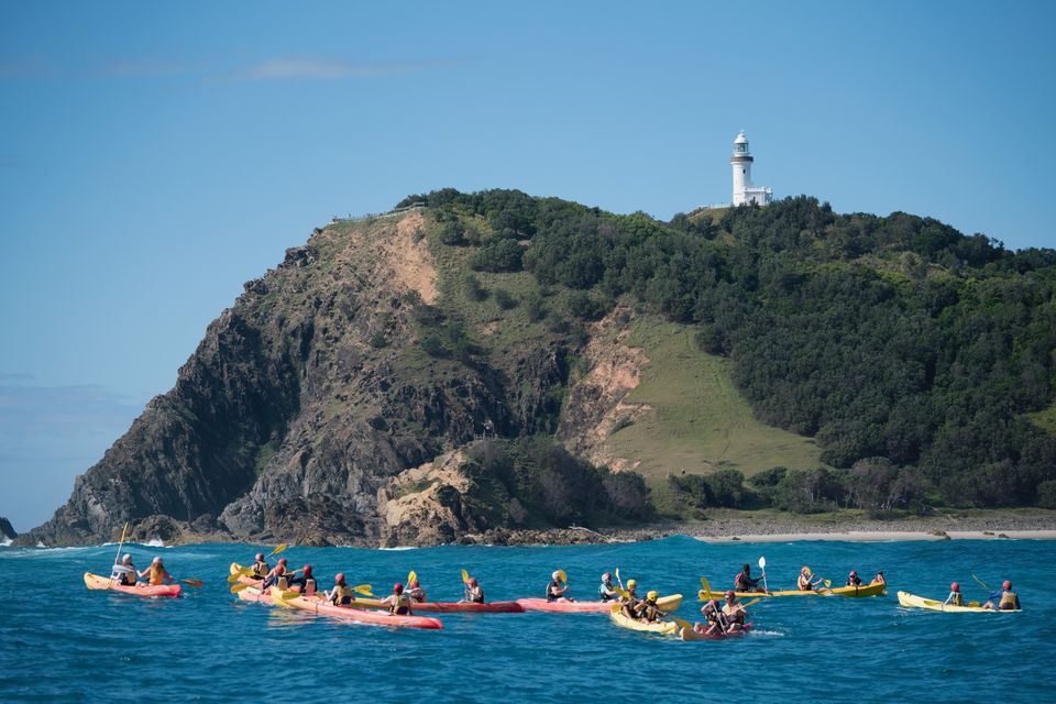 Byron Bay: Kayak with Dolphins Tour