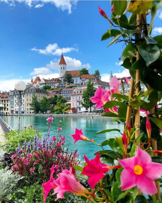 Spring In Thun, Switzerland