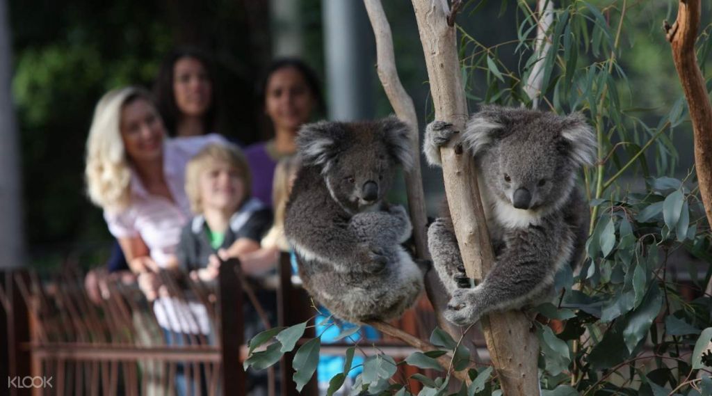 Melbourne Zoo 1-Day General Admission Ticket