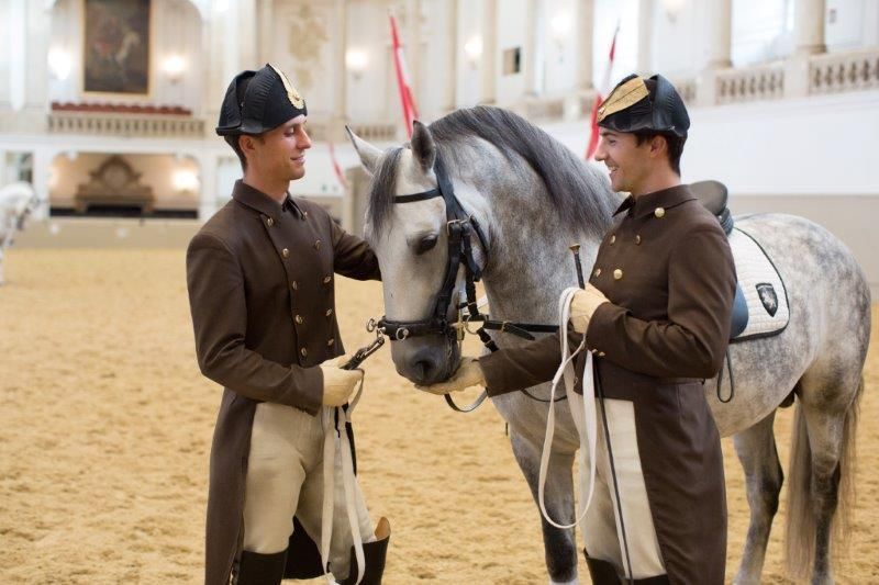 Vienna: Spanish Riding School Morning Exercise