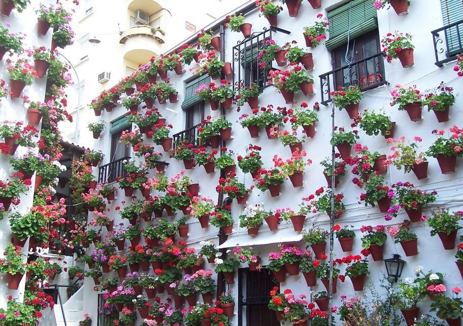 Patios of Cordoba Walking Tour