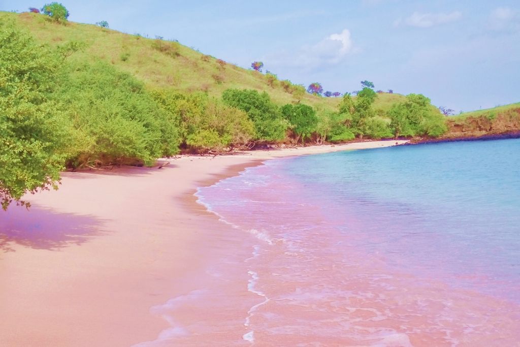 The Best Pink Sand Beaches Around the World