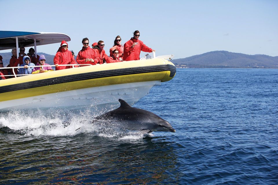 Bruny Island Wilderness Cruise