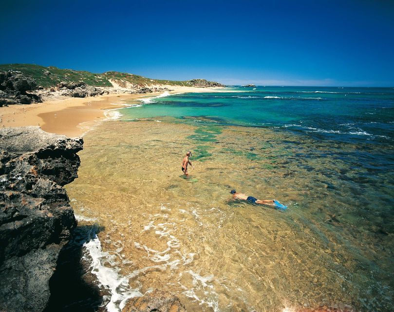 Shoalwater Islands Marine Park: Penguin and Sea Lion Cruise