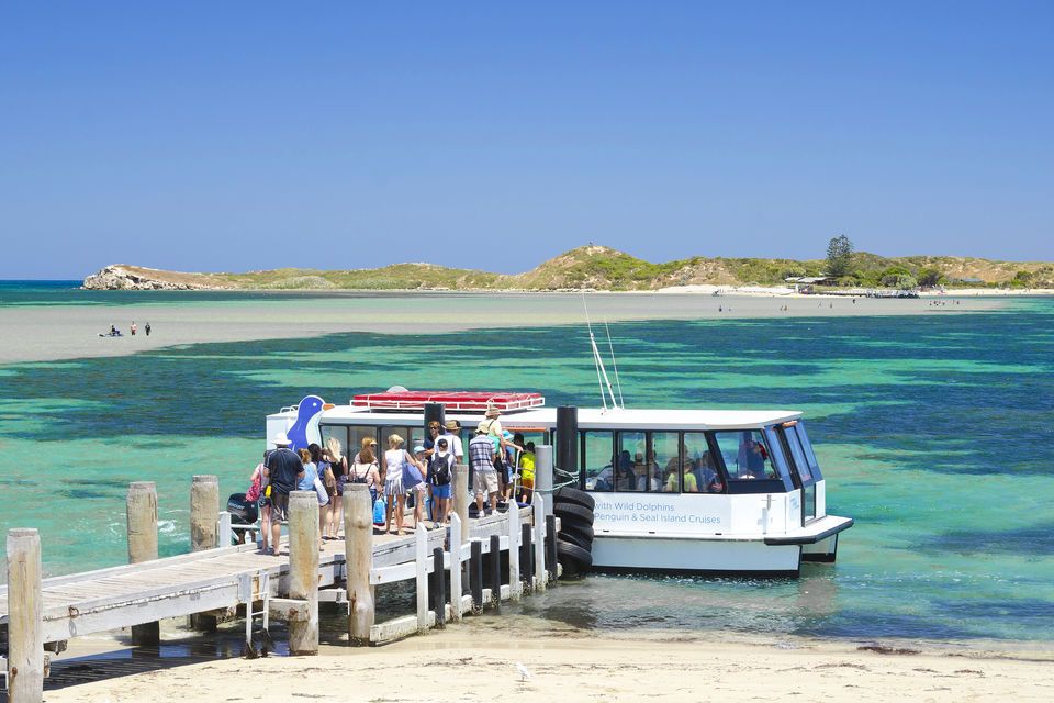 Penguin Island Ferry And Discovery Centre Tickets
