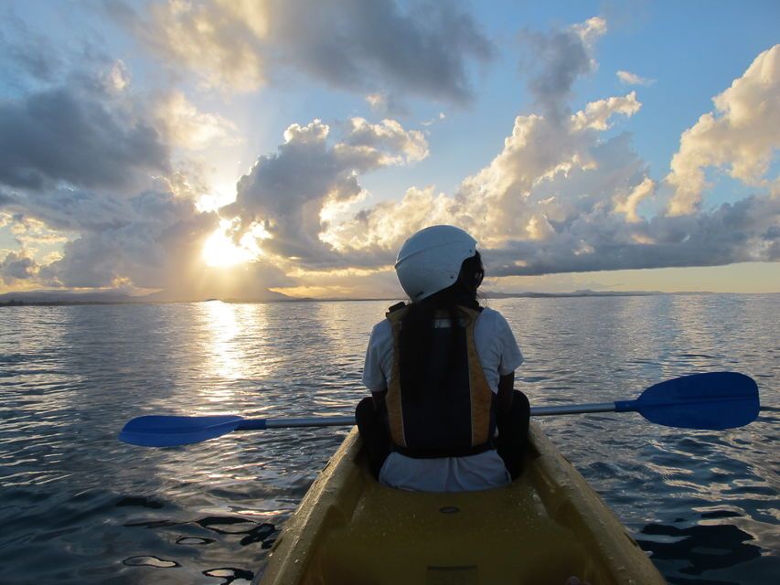 Byron Bay: Sea Kayak Tour with Dolphins & Turtles