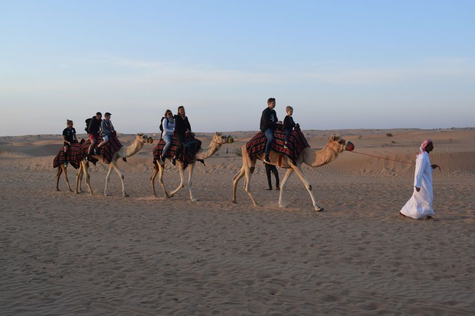 Dubai Desert Safari Red Dune: BBQ, Camel Ride & Sandboarding