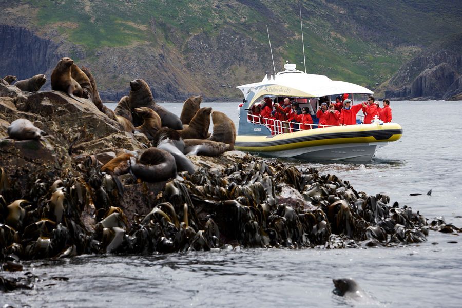 Bruny Island Wilderness Cruise