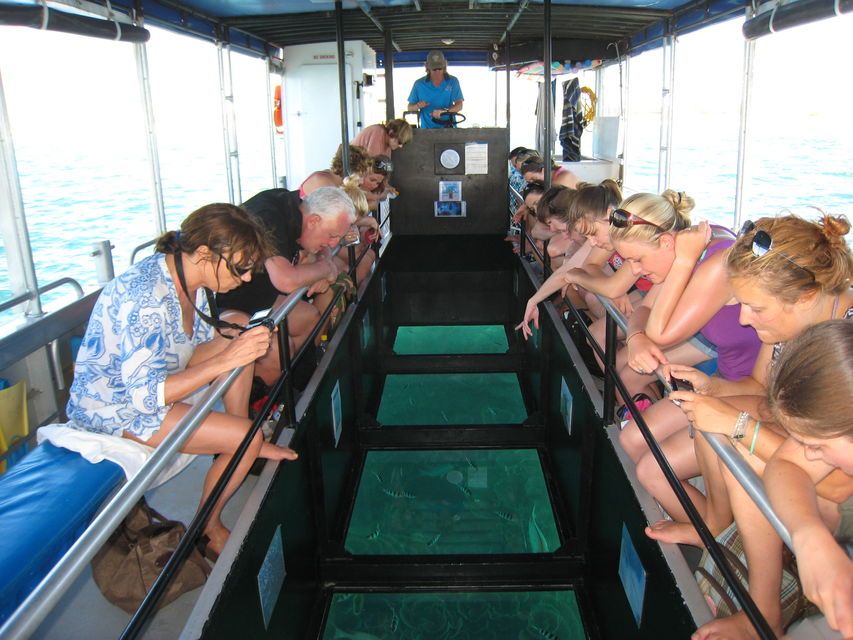 Coral Bay Glass-Bottom Boat Tour